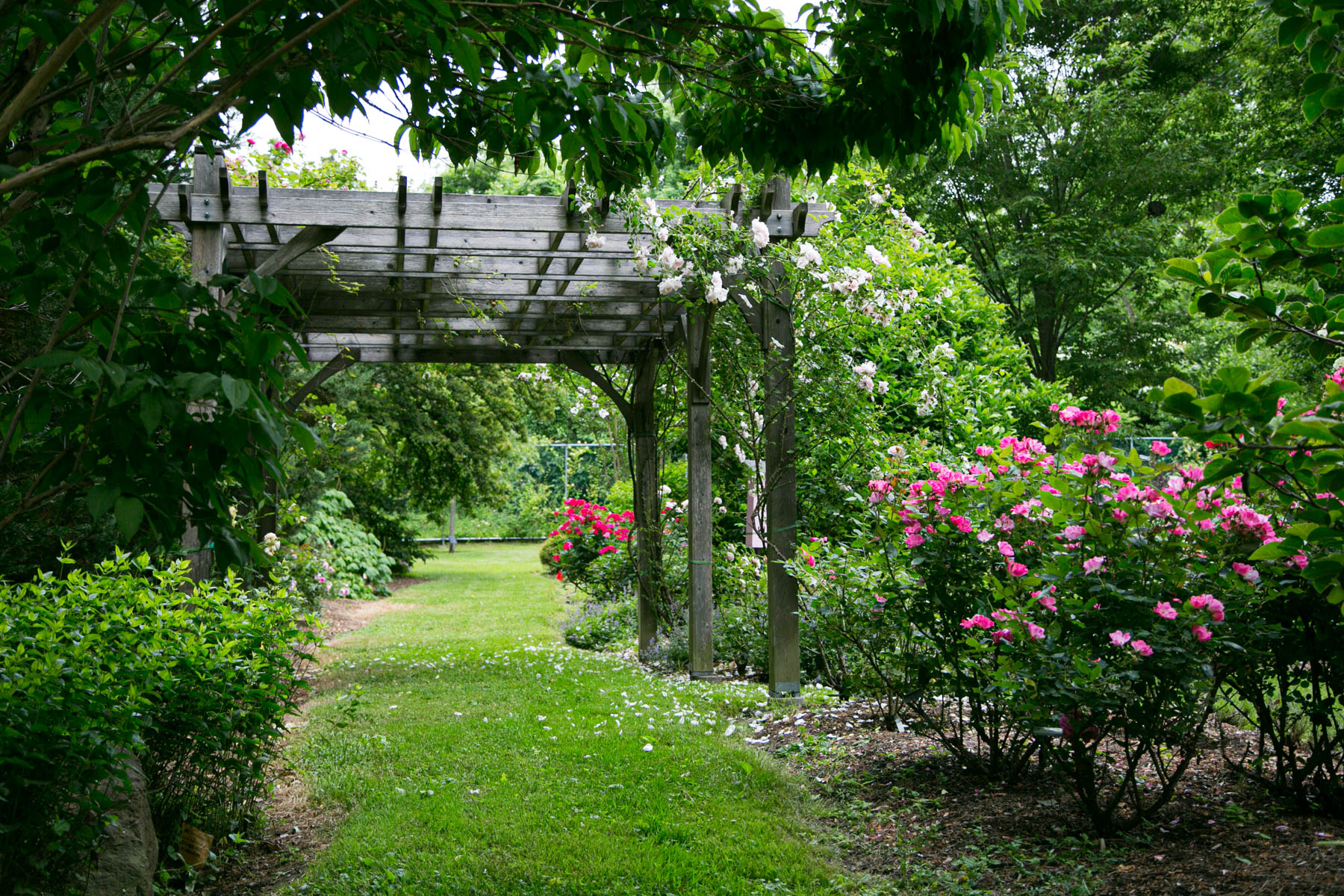 Demo garden path #4