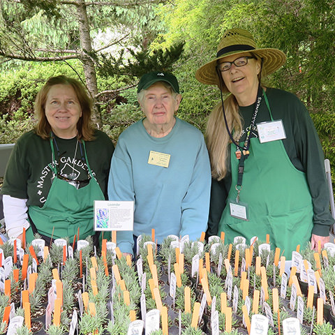 Photo featuring three Master Gardener leaders smiling with seedlings in front of them